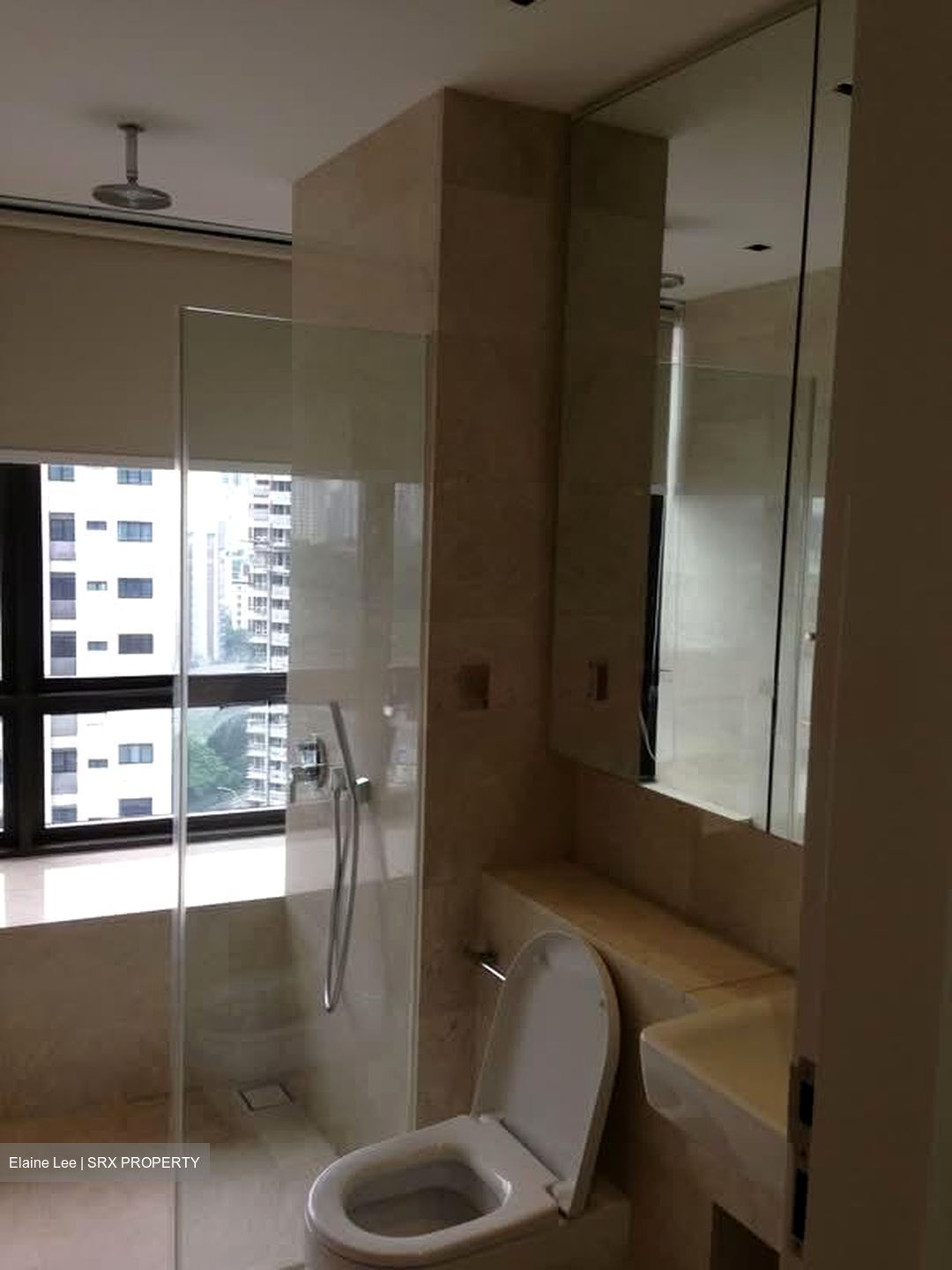 Trilight (D11), Condominium #566213401